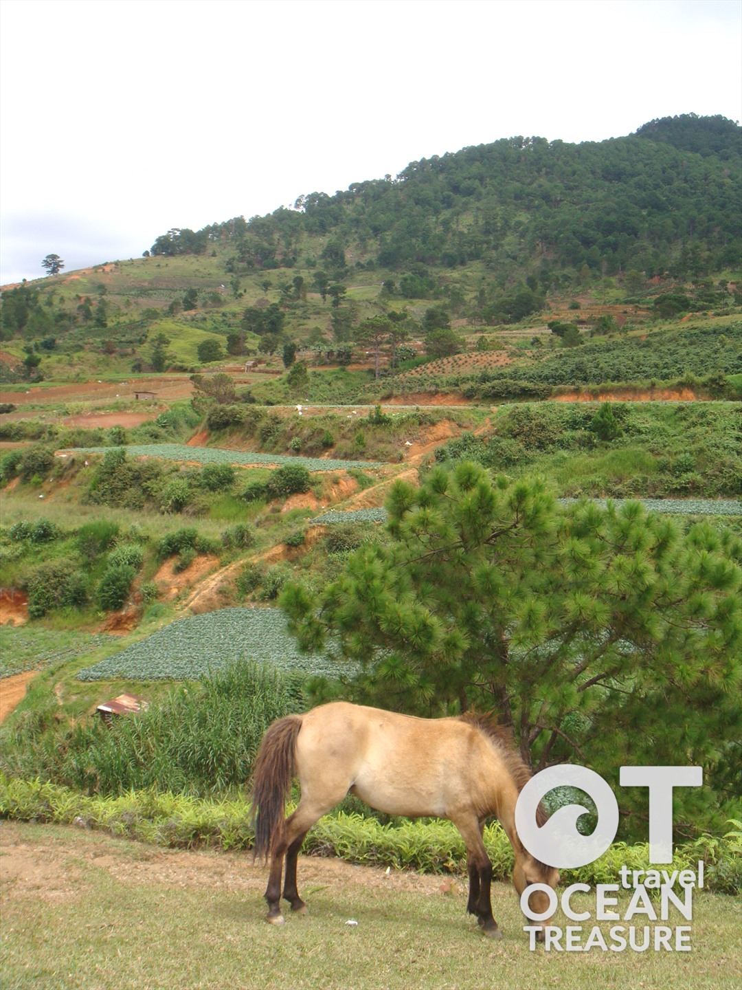 Tour Đà Lạt - núi Langbiang