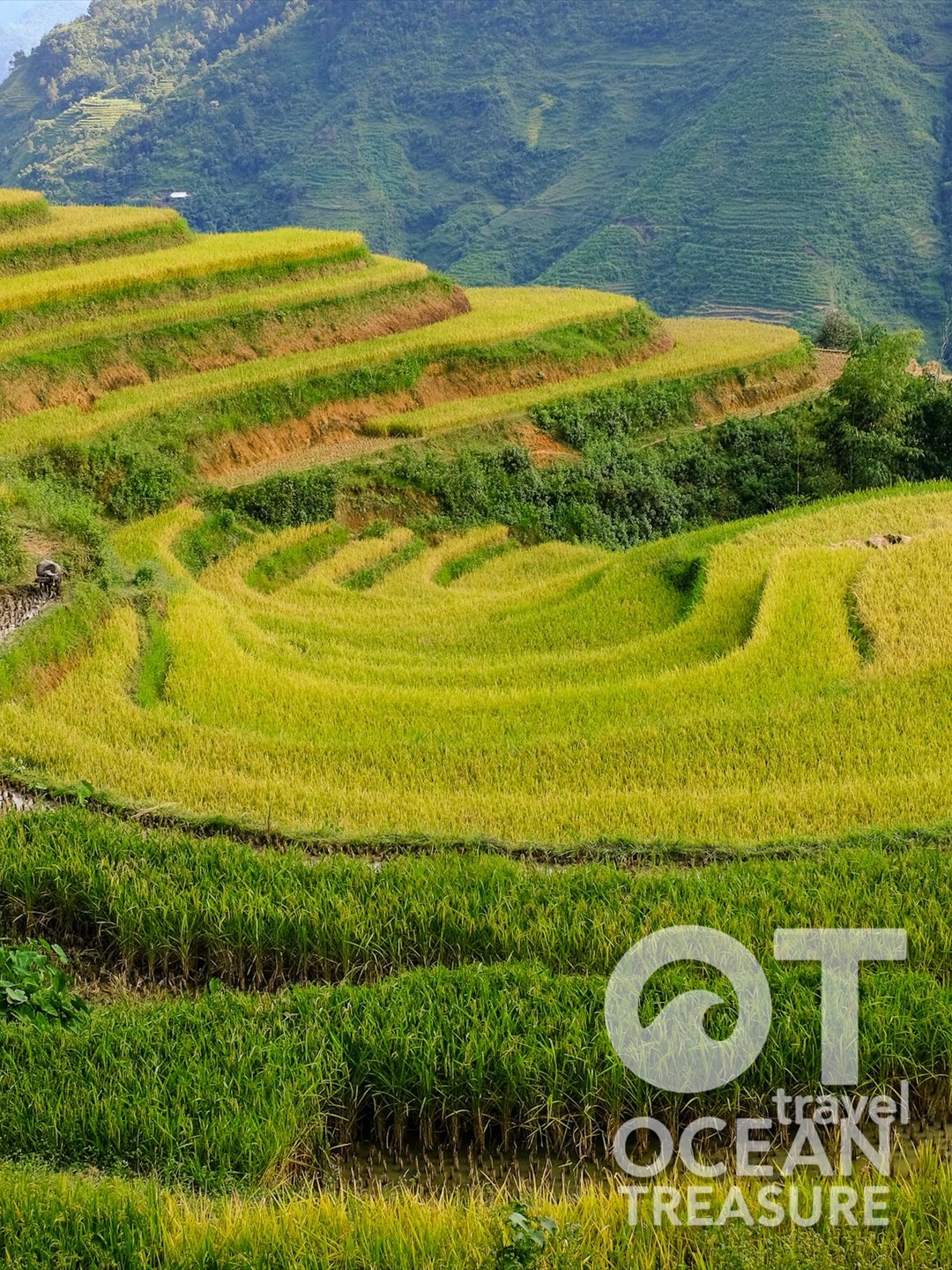 Dịch vụ thiết kế tour riêng tại Việt Nam - service image 4